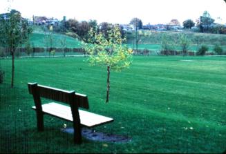 Eglinton Flats Park