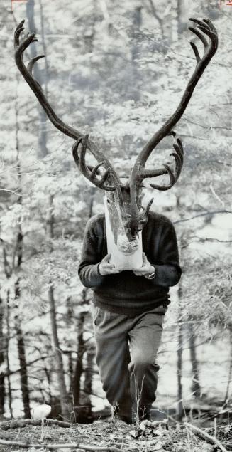 Is it a Caribou? No, it's Tony Bubenik, a 62-year-old Czech professor who makes his living by pretending he's a caribou, a moose or a deer. He has been shot at by a hunter, charged by a bull moose and flirted with by cow moose.