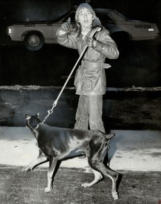 One of chomski's sons walks a dog. Family has Doberman, poodle and Yorkshire terrier
