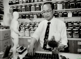 Chinese herballst: Edward Chu holds a pair of dried lizards in one hand and manipulates his abacus with the other in his Spadina Ave. shop. The male and female lizards, which cost $20 a pair, aremade into tea to increase virility. Beside Chu is a mannequin showing acupunture points.