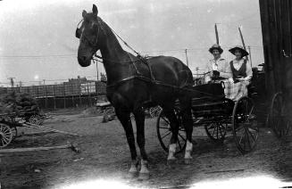 Two women with horse and buggy