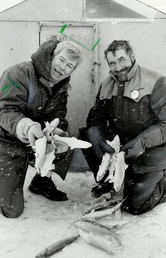 Red herring?, Georgina Mayor Joe Dales (left), a veteran ice fisherman, didn't get a single nibble during the Great Georgina Ice Fishing Derby so he helped Dave Sharp dispose of several dozen herring.
