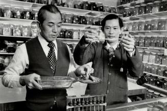 Form of medicine: Win Tam and Dieu Khon Quang weigh Chinese herbs used to treat common ailments James Gin, owner of Nam Pek Hong Chinese Herbs Centre, stocks more than 1,000 speciality herbs