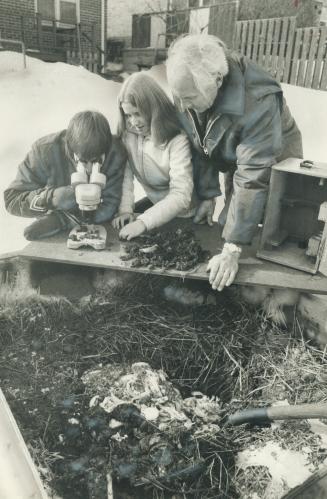 Keeping up studies of ecology they take at Camp Allsaw in the summer, Bob Reeve and Pam Kertland, study organic compost that camp director Sam Hambly, right, keeps alive in his back yard all winter