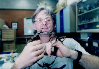 Prof. Darryl Gwynne thorny devils