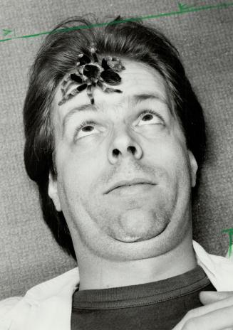 Eight-legged pal: Although most people would think having a tarantula on their head is too close for comfort, pet shop manager John Henrich doesn't seem to mind at all