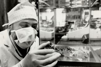 Say glub': Barry Hillmer is The Fish Doctor, cleaning dirty aquariums and making fish afflicted with 'ick' happy and healthy.