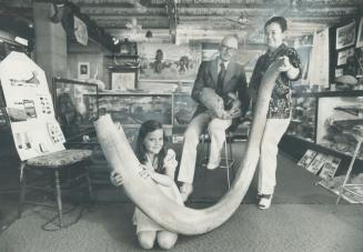 Prize of Fossil collection of Paul and Ledy Hobberlin (rear) is 11-foot-long tusk of a 15-foot-high hairy mammoth that roamed the Yukon about 12,500 years ago