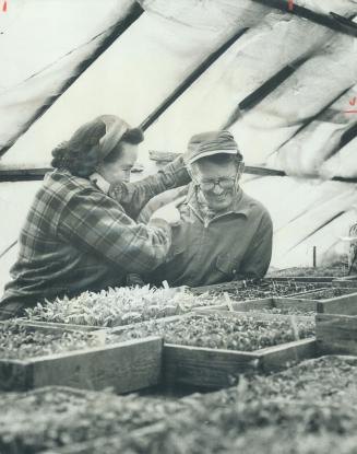 Last generation of Farmers: Everett and Betty Howatt weed the seedlings in their greenhouse