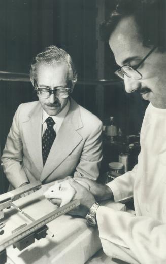 Harold Kalant (left), University of Toronto pharmacologist, and Larry Grupp examine rat in laboratory