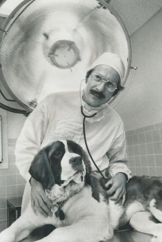 Dr. Ramsay MacDonald of the Sheppard Veterinary Hospital checks the heartbeat of Genya, a six-month-old tri-colored St. Bernard he had earlier spayed. Spaying - at up to $50 - is one of costs to be figured when you consider accepting a free puppy. It can cost you $200 for the first year.