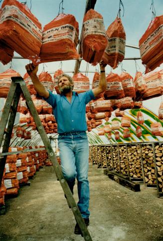 Ready to burn: Paul Bunyan Munsterman displays part of the five acres of firewood he has for sale