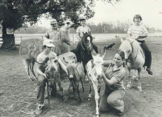Besides 85 Lionel Purcell (left, rear) raises an assortment of go onkeys, llamas, ducks, chickens, peacocks and dov his 140-care farm, within sight of northern Scarborough's high-rises