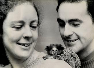 Wilma and Ron Puttick with their pet monkey, Popcorn, A miniature marmoset, Popcorn cost them $2 in Brazil.