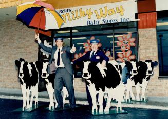 Herding in customers: Brothers Armin, left, and Siegfried Quickert brought a herd of wooden cows - and an umbrella - to celebrate the opening of their Reid's Milky Way Dairy Store on Lawrence Ave