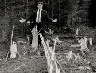 All that's left: Markham regional Councillor Frank Scarpitti stands in what was once a woodlot near Highway 404