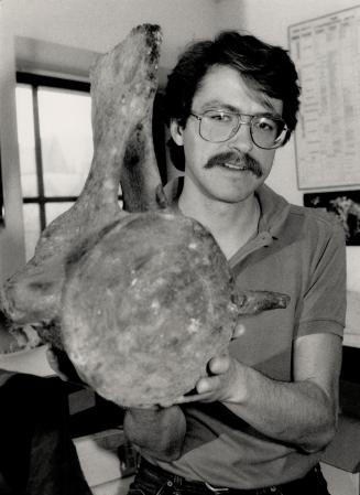 Bone find: Kevin Seymour, Royal Ontario Museum bone expert