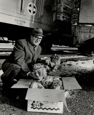Louis sourcoff . . . Fresher lettuce?