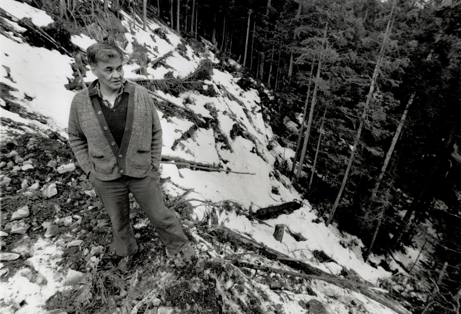 Peter Turley, a chief of the Eagle clan, stands at the edge of a lumber clear-cut, where a Gitksan roadblock stopped a logging operation last summer.