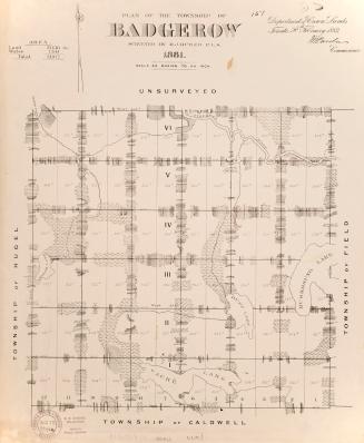 Plan of the township of Badgerow surveyed by M.J. Butler, P.L.S. 1887