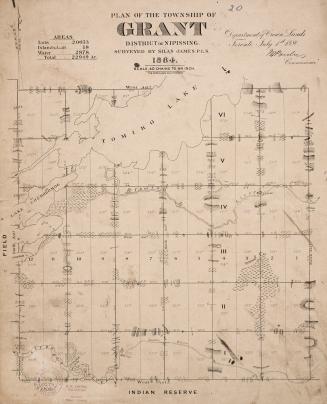Plan of the township of Grant district of Nipissing, surveyed by Silas James, P.L.S. 1887