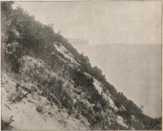 Palisade Park, Scarborough Bluffs, east of Fallingbrook Road, Toronto, Ont.