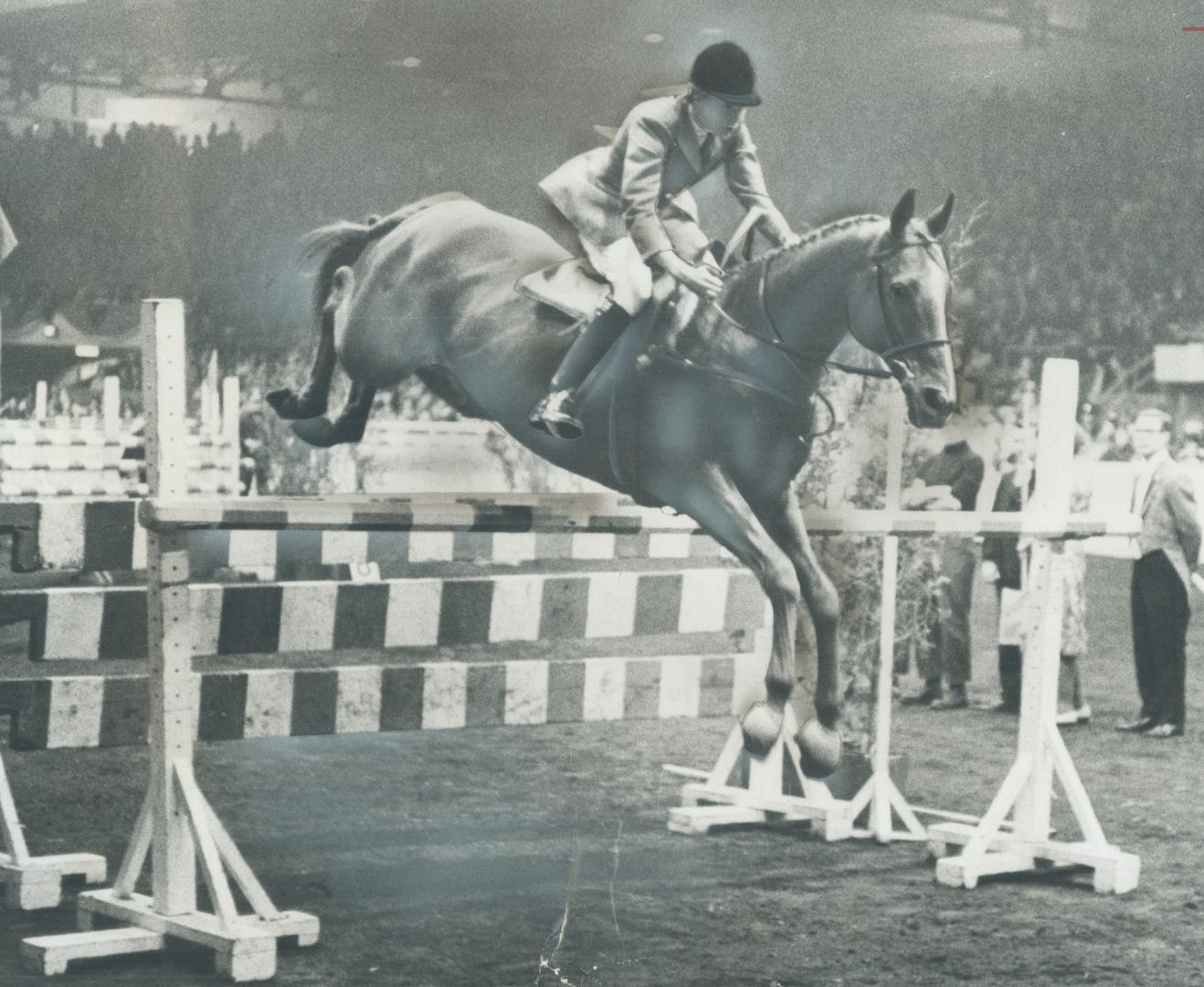 Perfect form displayed by both horse and rider