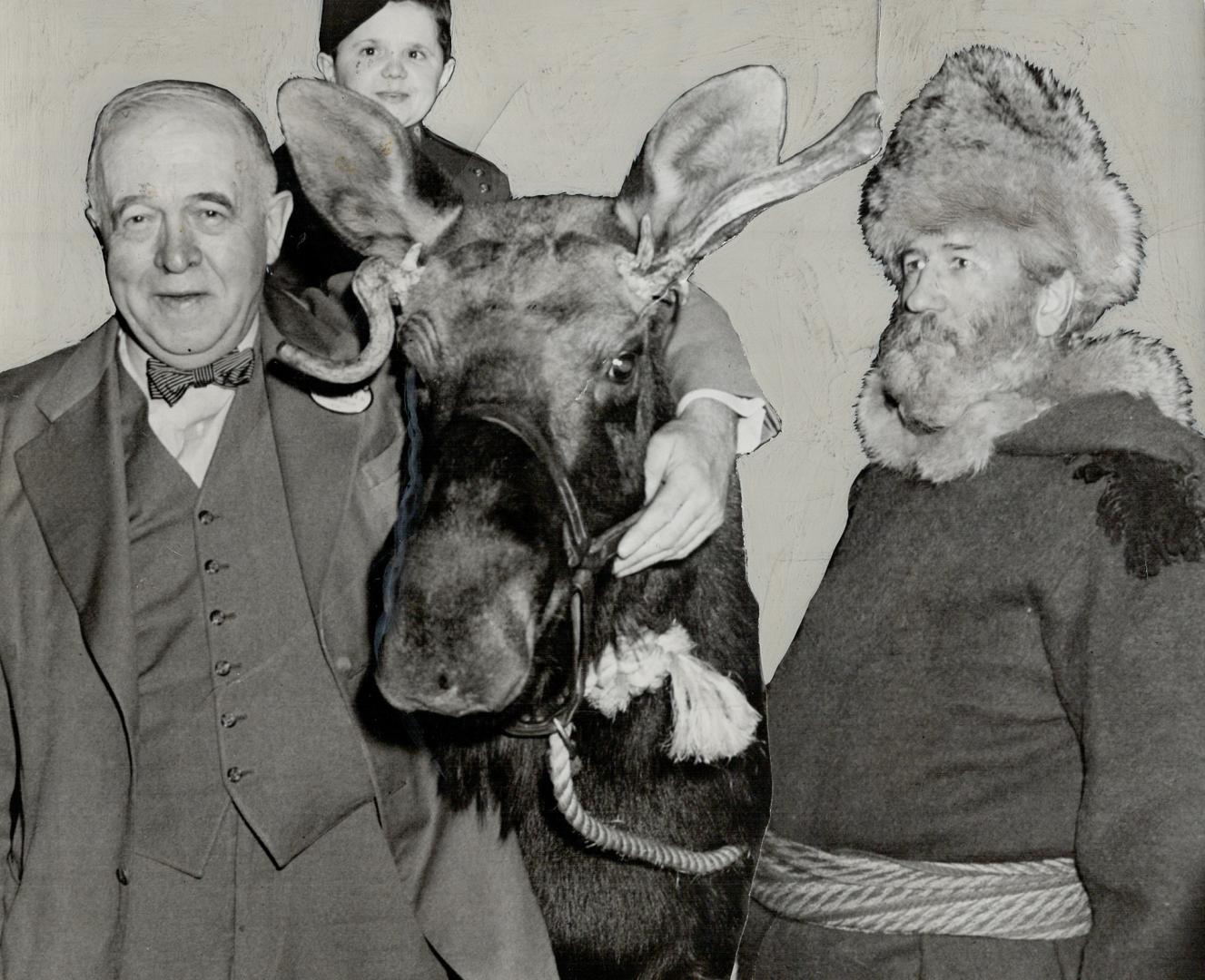 Unexpected guests at the Rotary club luncheon in the Royal York hotel today were Joe Laflamme of Gogama, right, and his two-year-old moose. Dr. J. A. Campbell, of the Toronto zoo, steadies the animal as Johnny Ferguson perches on its back