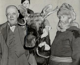 Unexpected guests at the Rotary club luncheon in the Royal York hotel today were Joe Laflamme of Gogama, right, and his two-year-old moose. Dr. J. A. Campbell, of the Toronto zoo, steadies the animal as Johnny Ferguson perches on its back