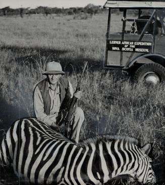 Noted big game sportsman, Michael Lerner of New York shot this zebra in East Africa for the museum which is operated by the Nova Scotia government