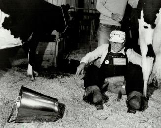 Give it an 'udder' try, Johnny! One of Metro's best-known Italians, CHIN Radio's Johnny Lombardi, tried his hand in a milking contest at the Woodbridge Fall FAir yesterday