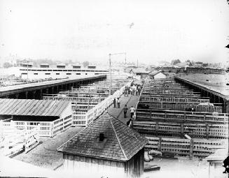 Cattle market