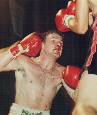 Agony and ecstasy: Toronto's Roddy MacDonald (left) is battered and on his way to defeat in defence of his light-heavyweight championship at Varsity Arena last night