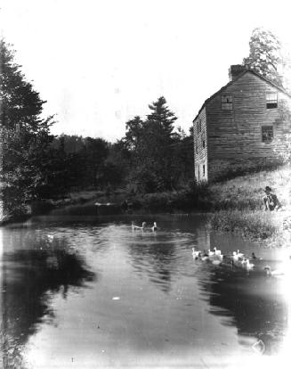 Unidentified river