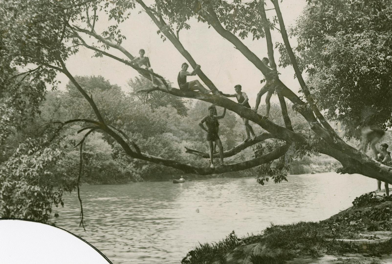 Boys climbing tree over the Humber River