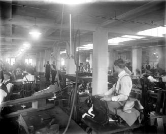 Tailors