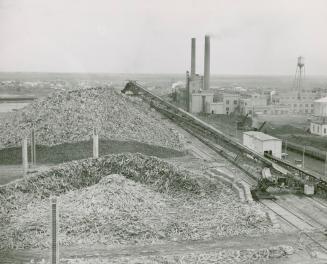 Spruce Falls Pulp and Paper Co. Mill