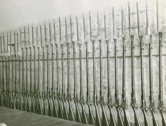 Row of muskets at Fort Henry