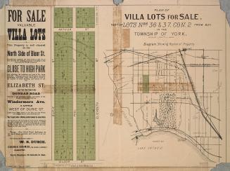 Plan of villa lots for sale, part of lots nos. 36 & 37, con. 2 from bay, in the township of York