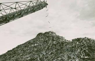 Log pile at the Marathon Pulp Inc. lumber mill