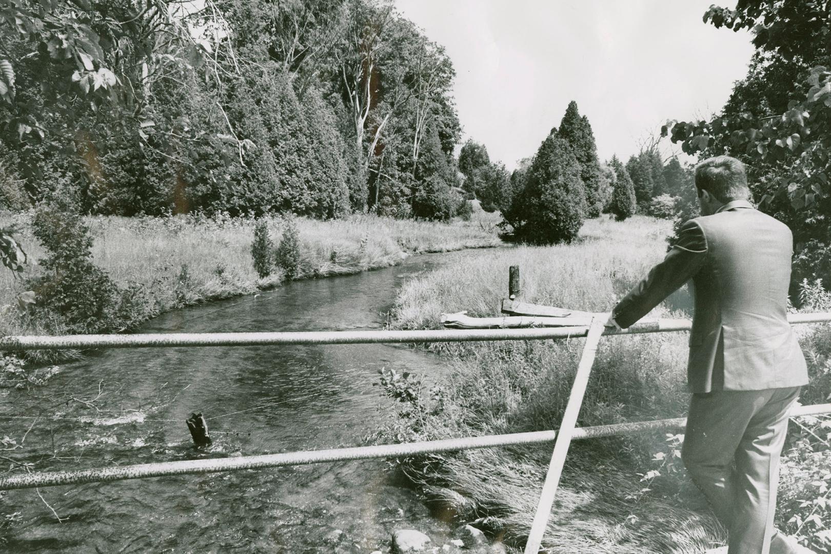 Baxter Creek in Millbrook, Ont.