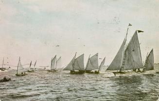 Image shows a number of yachts on the lake.