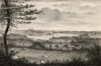 View of Halifax, N.S., from McNab's Island