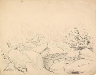 A very faded pencil drawing showing fallen rocks, with tree roots, branches and fragments burie ...