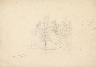 Camp, second lake, Cold-Water River [Rivière à l'Eau Dorée], Labrador Peninsula expedition, 1861