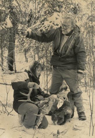 Researchers John and Mary Theberge, examine a deer killed by wolves in Algonquin Provincial Park, Ontario