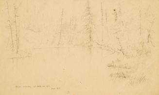 River connecting fourteenth lake with fifteenth, Ruisseau la Truite, Labrador Peninsula expedition, 1861