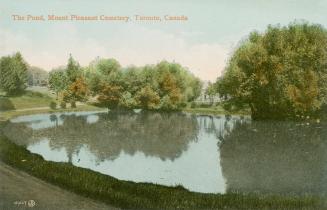Image shows the pond with some trees in the background.