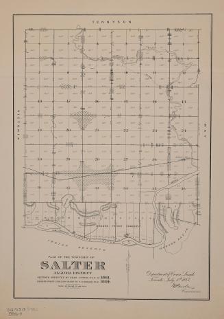 Plan of the township of Salter, Algoma District
