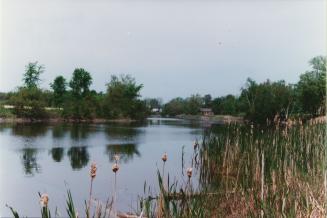 Audubon Acres, Baldwin, Ontario